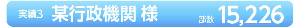 実績3「某行政機関」（部数：15,226）